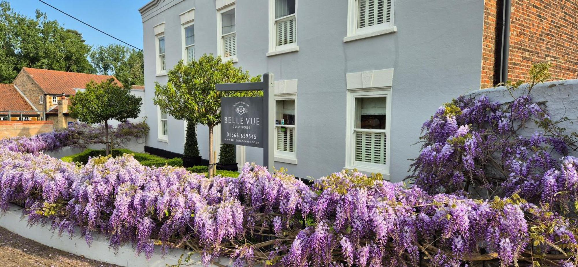 Belle Vue Guest House Denver Eksteriør bilde